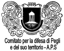 logo comitato